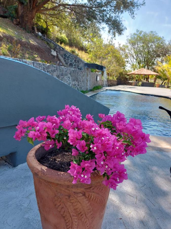 Vida Aventura Ranch 호텔 Tanques 외부 사진