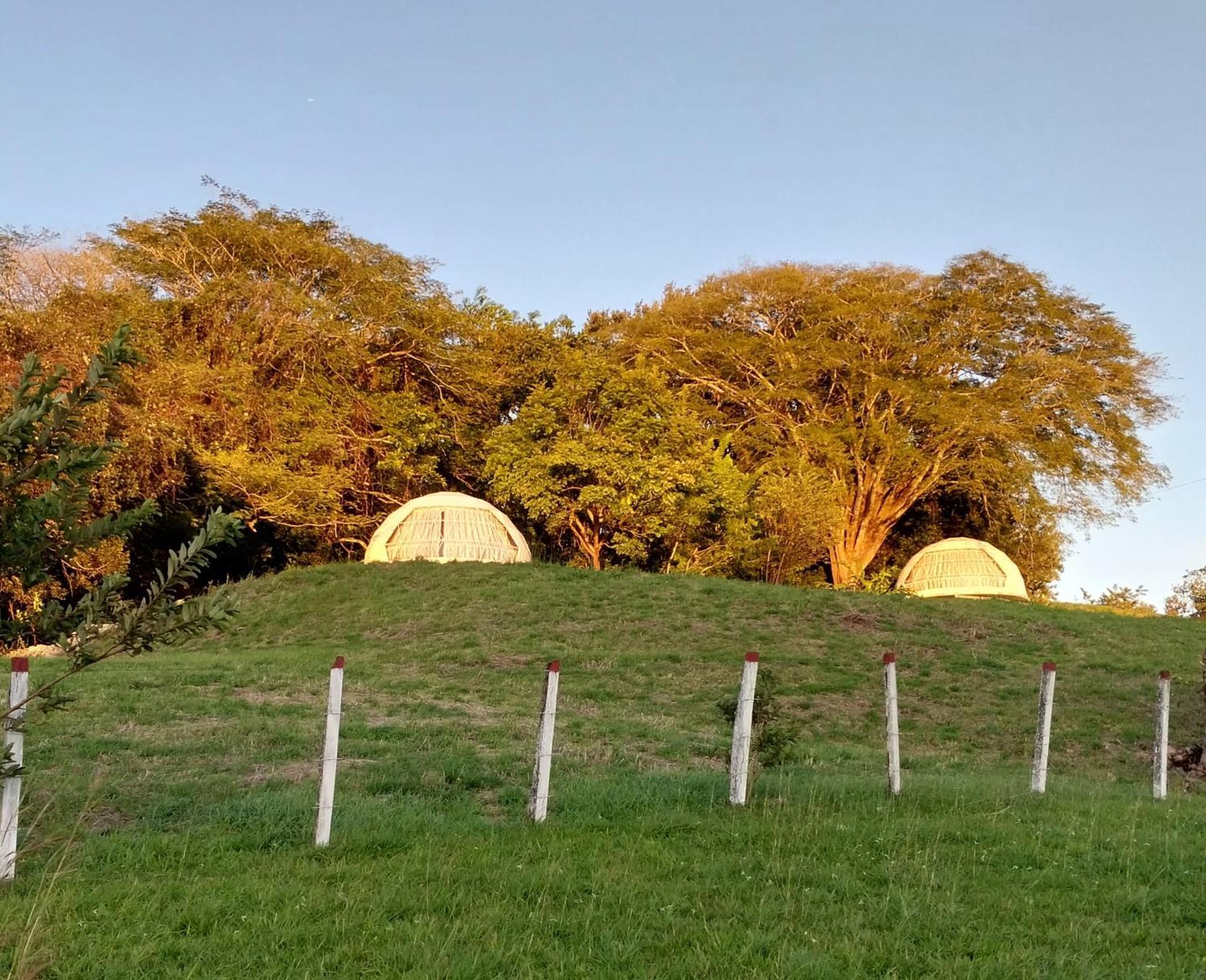 Vida Aventura Ranch 호텔 Tanques 외부 사진