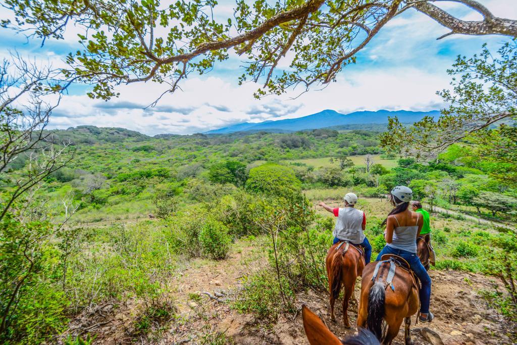 Vida Aventura Ranch 호텔 Tanques 외부 사진