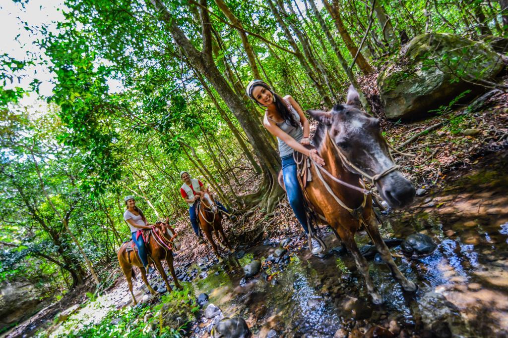 Vida Aventura Ranch 호텔 Tanques 외부 사진