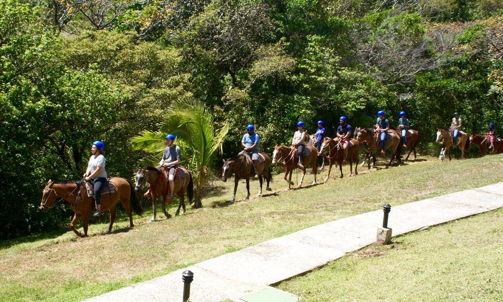 Vida Aventura Ranch 호텔 Tanques 외부 사진