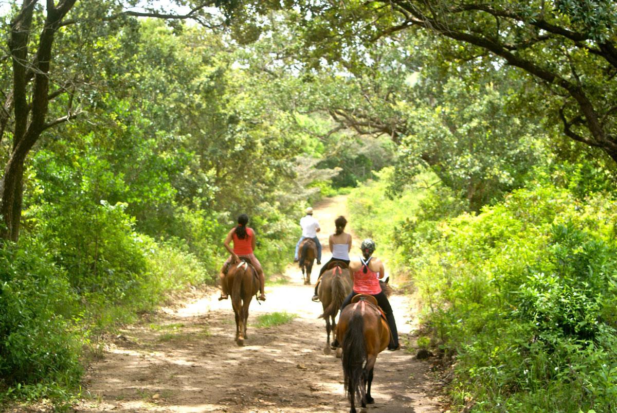 Vida Aventura Ranch 호텔 Tanques 외부 사진